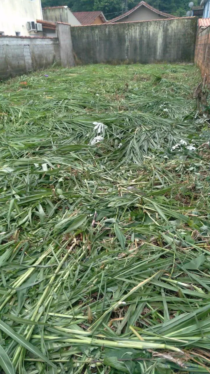 Vendo Terreno com 250 mts ² , Vale Verde Cubatão SP .